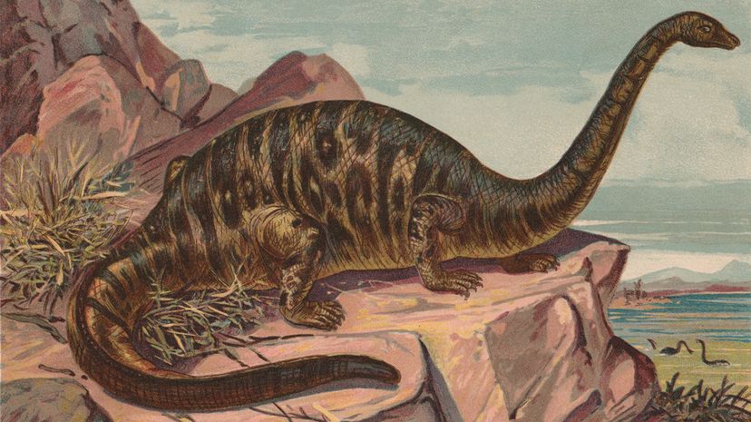 dinosaur